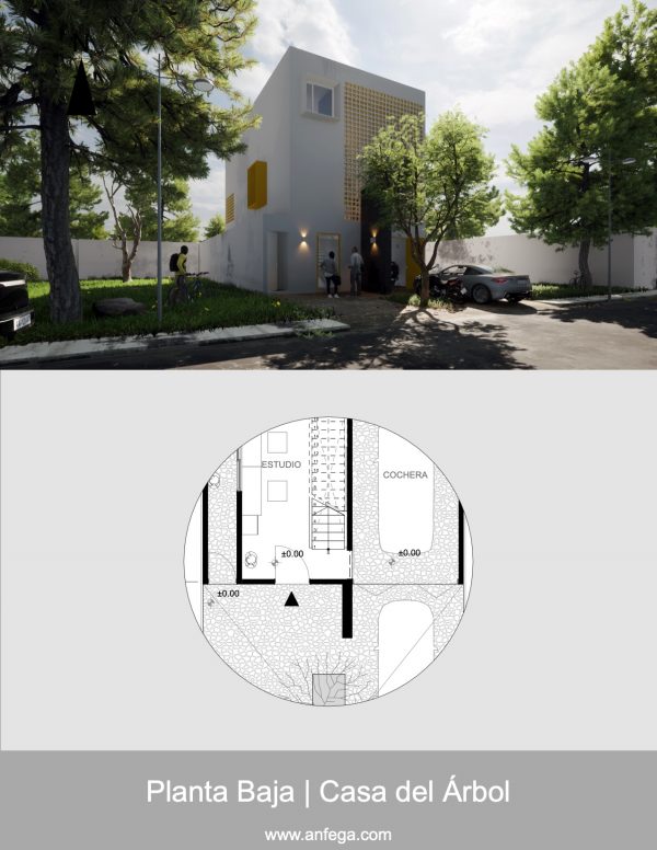 Planta Baja - Casa del Árbol