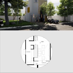 Primer Nivel – Casa del Árbol