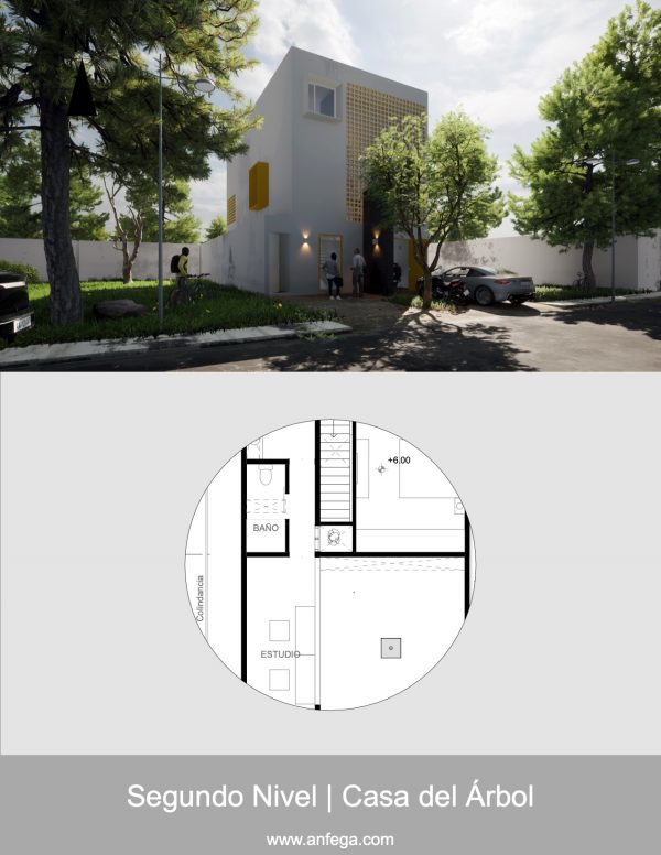 Segundo Nivel – Casa del Árbol