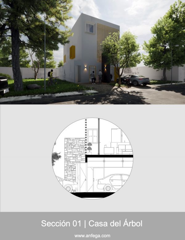 Corte Longitudinal – Casa del Árbol
