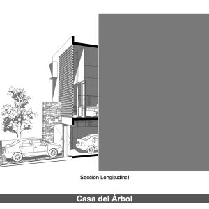 Corte Longitudinal 3D - Casa del Árbol